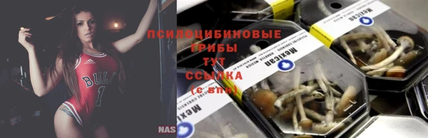 стафф Верхний Тагил
