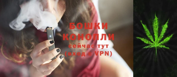 стафф Верхний Тагил