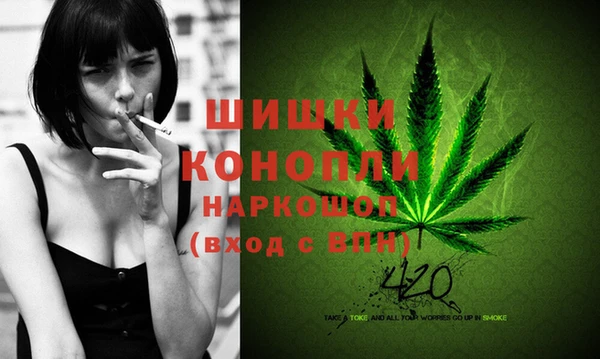 стафф Верхний Тагил