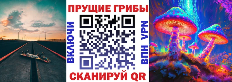 OMG рабочий сайт  Горячеводский  Псилоцибиновые грибы MAGIC MUSHROOMS 